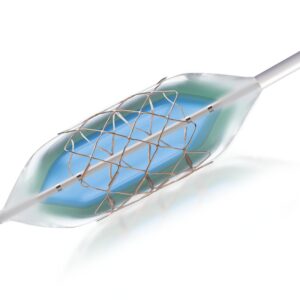 Aortan stentti, 3,9cm Ø14/40
